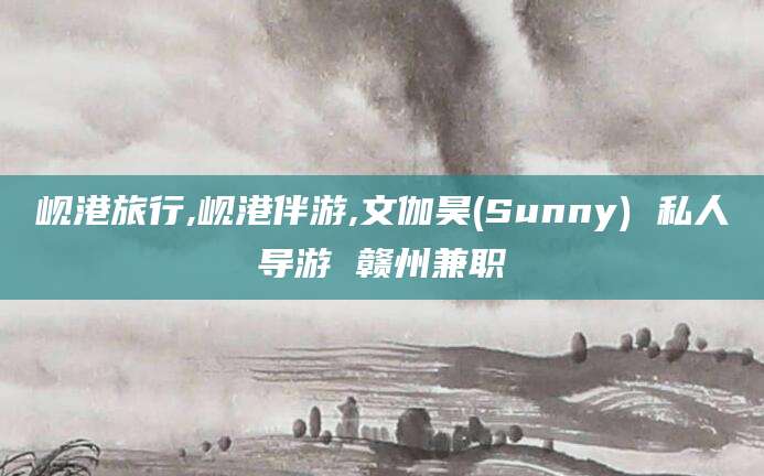 安吉岘港旅行,岘港伴游,文伽昊(Sunny) 私人导游 赣州兼职